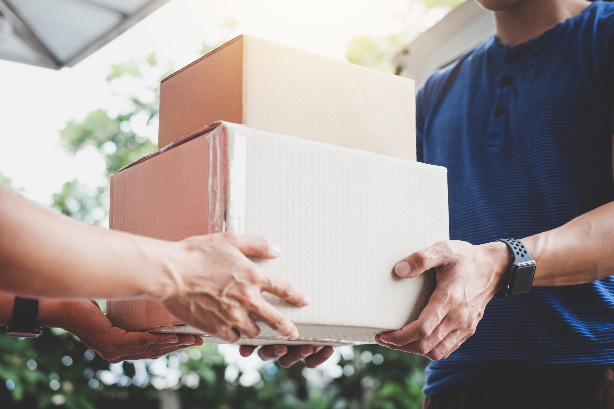 Home delivery service and working service mind, Woman customer h